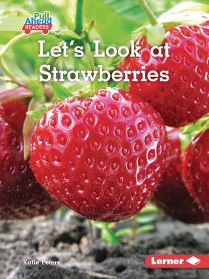 cover image of Let's Look at Strawberries
